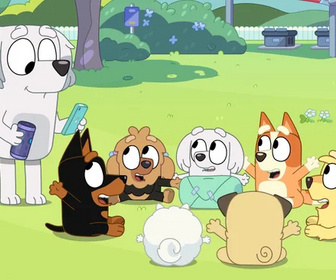 Replay Bluey - Passe le paquet