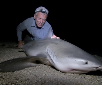 Replay River monsters - S4E1 - Tueurs américains
