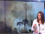 Replay Élément Terre, la quotidienne - Destructions record des forêts tropicales en 2024 : incendies et agriculture en cause