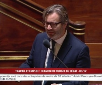 Replay 100% Sénat - Budget 2025 : examen de la mission travail et emploi