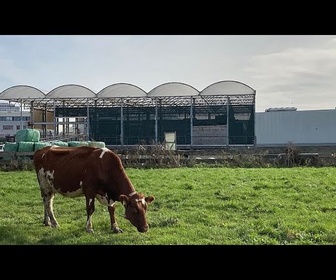 Replay Une ferme flottante pour répondre au défi du changement climatique