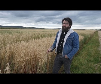 Replay L'avoine nordique, une culture orpheline qui s'enracine à nouveau