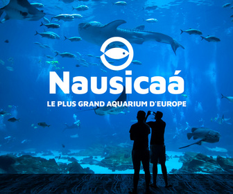 Replay Nausicaá, le plus grand aquarium d'Europe