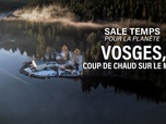 Replay Sale temps pour la planète - Vosges, coup de chaud sur le massif