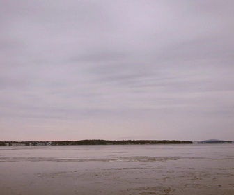 Replay Le mystère d'Oak Island : la course au trésor - S3E13 - Secrets et révélations