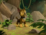 Replay Paw Patrol, la Pat'Patrouille - Des pingouins dans la jungle