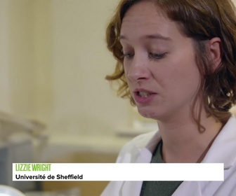 Replay Les Grandes Énigmes de l'Histoire - Dans le secret de Stonehenge