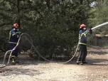 Replay Mégafeux : chronique d'un désastre annoncé - En Grèce, des citoyens aussi luttent contre les incendies