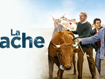 Replay La vache