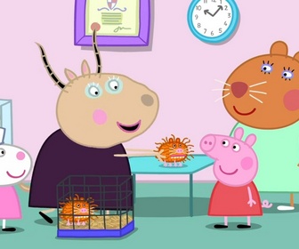 Replay Peppa Pig - S9 E58 - La journée avec la doctoresse hamster