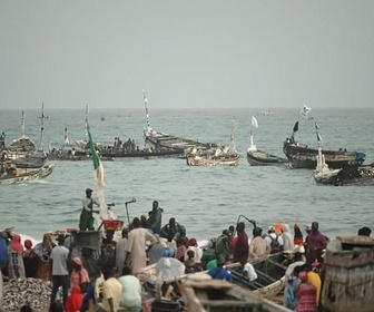 Replay ARTE Journal - Sénégal : des usines de farine animale causent la surpêche