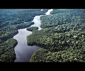Replay COP 30 : l'Allemagne promet de soutenir l'initiative brésilienne de protection des forêts
