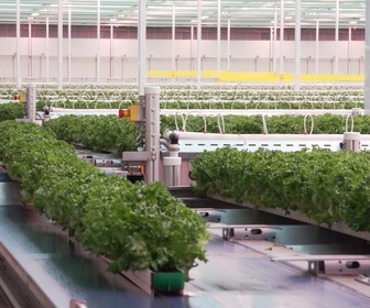 Replay Focus - Boom des serres en Ontario : le Canada accroît son autosuffisance alimentaire