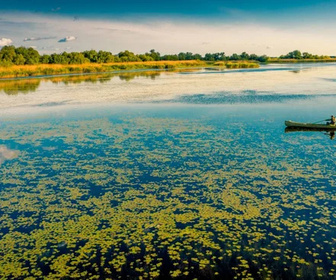 Replay Documentaire nature - 13/10/2025