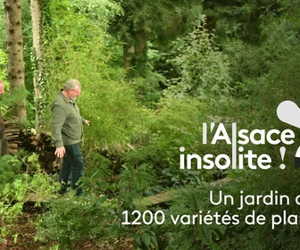 L'Alsace insolite replay
