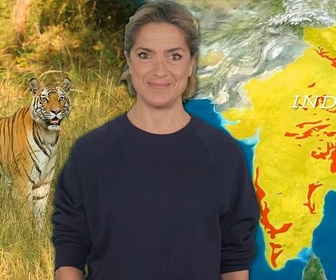 Replay COP Biodiversité : peut-on encore sauver les animaux ? - Le dessous des cartes - L'essentiel