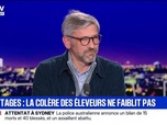 Replay BFM Grand Soir - Abattages : la colère des éleveurs ne faiblit pas - 14/12