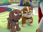 Replay Paw Patrol, la Pat'Patrouille - Joyeux Noël, les amis !