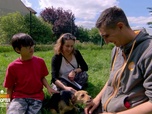 Replay Animaux à adopter