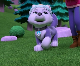 Replay Paw Patrol, la Pat'Patrouille - Une chatte citadine
