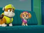 Replay Paw Patrol, la Pat'Patrouille - Cali, la clandestine