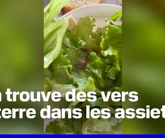 Replay L'image du jour - Vers de terre dans les assiettes, bouts de verre dans les brownies, couverts sales... des parents dénoncent l'insalubrité d'une cantine