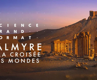 Replay Science grand format - 26/02/2026