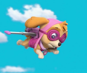 Replay Paw Patrol, la Pat'Patrouille - L'aigle à la patte ficelée
