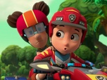 Replay Paw Patrol, la Pat'Patrouille - Mission Dino : Le bébé tyrannosaure