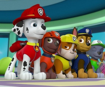 Replay Paw Patrol, la Pat'Patrouille - La Pat'Patrouille contre le tartouragan