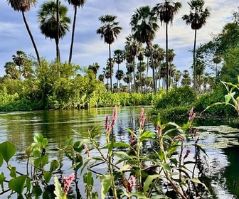 Replay Chaco et les Andes - Au fil de l‘Argentine