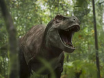 Replay Sur la terre des dinosaures - 17/10/2025
