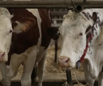 Replay Le doc du Mag santé - Émission du vendredi 18 juillet 2025