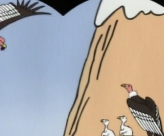 Replay Barbapapa autour du monde - S01 E07 - Les lamas