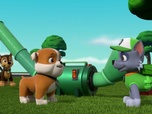 Replay Paw Patrol, la Pat'Patrouille - Sauvons les saumons !