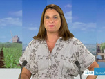 Replay ICI 12/13 édition toutes régions