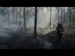 Replay Après le mégafeu en Gironde, les pompiers s'attendent à des mois de lutte contre les feux zombies