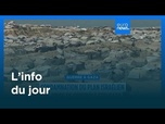 Replay L'info du jour | 10 août 2025 - Matin