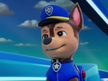 Replay Paw Patrol, la Pat'Patrouille - Le cours de méditation