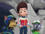 Replay Paw Patrol, la Pat'Patrouille - Le miel a disparu !