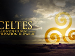 Replay Celtes : les mystères d'une civilisation disparue