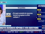 Replay 90 minutes Business avec vous - BFM Business avec vous: En quoi consiste le nouveau brevet européen à effet unitaire ? - 01/06