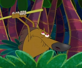 Replay Zig et Sharko - À toutes jambes