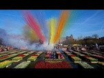 Replay Journée nationale de la tulipe aux Pays-Bas : 200 000 tulipes offertes à Amsterdam