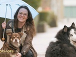 Replay Grands reportages - Animaux de compagnie : Business et trafic