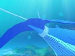 Replay Oum le dauphin blanc - S01 E47 - Le chant des baleines