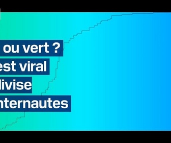 Replay L'image du jour - Un test pour déterminer la couleur du turquoise divise les internautes et devient viral