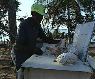 Replay Destinations - Leeward islands