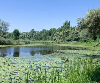 Replay La vallée de la Drave - Au coeur de l'Amazonie européenne