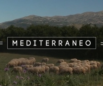 Replay Mediterraneo - En Grèce, regard sur le fromage de l'Ile de Céphalonie
